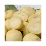 Thumbnail 3 for Arcobaleno AEF150 Gemella Stuffed Gnocchi Extruder — 154 Lbs Output/Hr, Electric, Floor Model