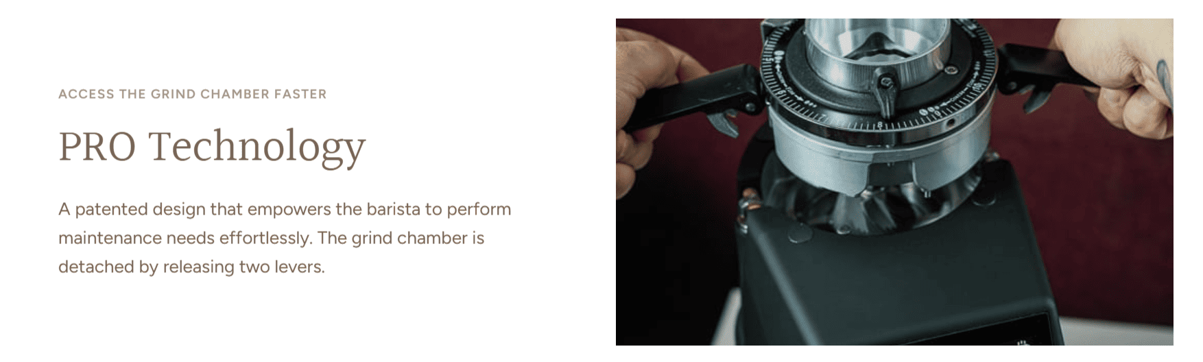 Feature 2 - F64EVOXGIPRO