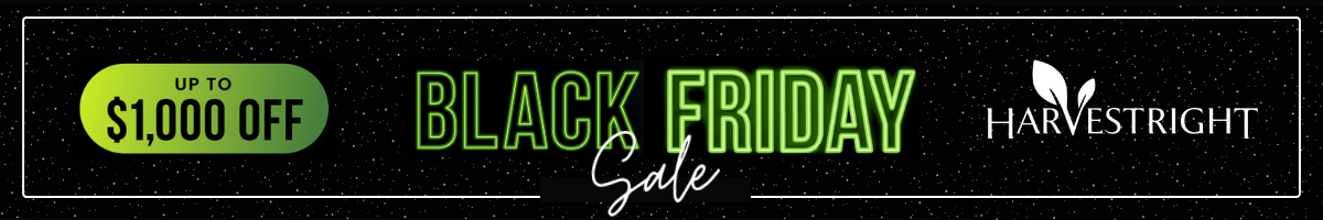 Black Friday Banner (Mobile)