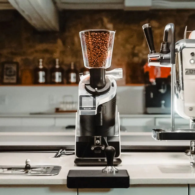 Ceado E37Z-Barista Espresso Grinder