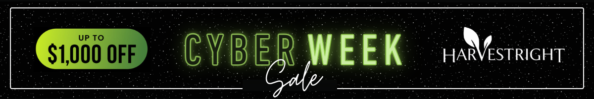 Black Friday Banner (Mobile)