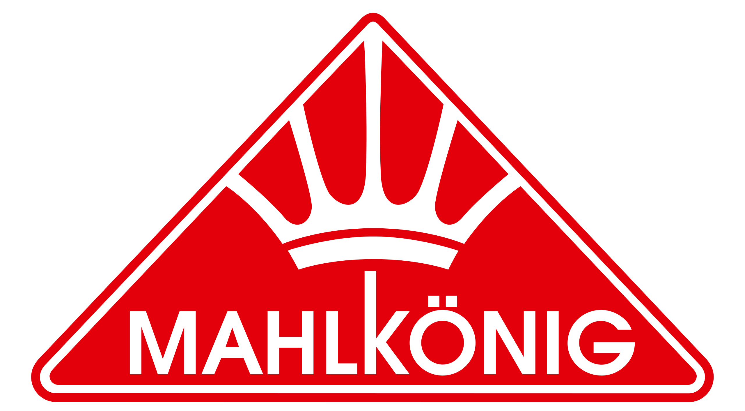 Partner Logo 7